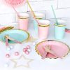 Party deco roze blauw