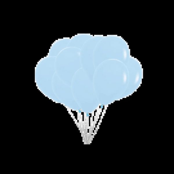 ballonnen pastel blauw