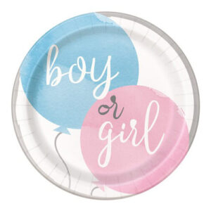 Gender Reveal boy or girl bordjes 23cm