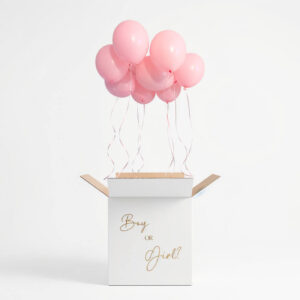 Gender Reveal Ballon Doos