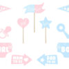 Gender Reveal photo booth props items