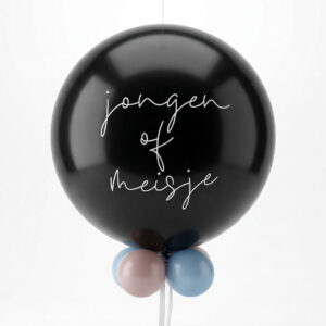 Gender Reveal Pick en Mix ballon