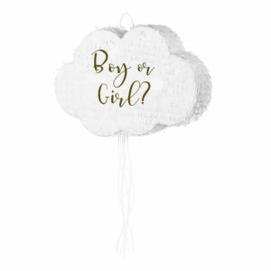 Gender Reveal Pinata Boy or Girl