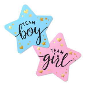 Gender Reveal stickers team boy blauw team girl