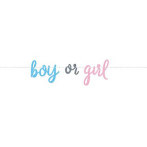 Gender Reveal letterslinger Boy or Girl