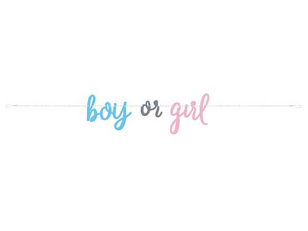 Gender Reveal letterslinger Boy or Girl