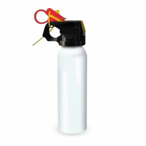 Mini brandblusser Gender Reveal