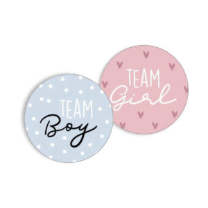 Team boy girl gender reveal stickers pastel kleur